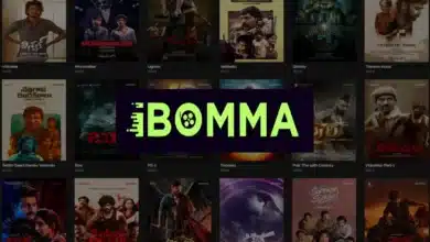 The Rise of Telugu Cinema: Exploring the Popularity of iBOMMA