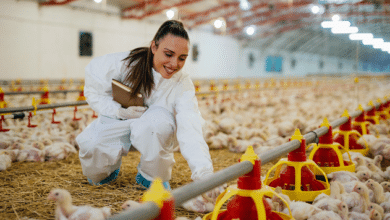 Poultry Farm Business Plan