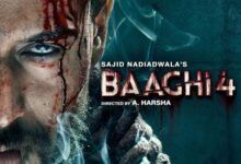 Baaghi 4 movie poster with box office collection chart showing India and worldwide earnings