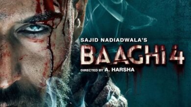 Baaghi 4 movie poster with box office collection chart showing India and worldwide earnings
